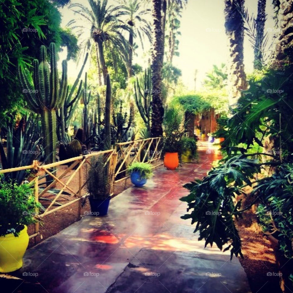 Marrakech (Africa)