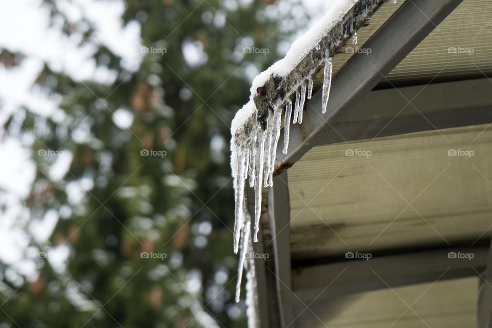 icicles hanging from the roof