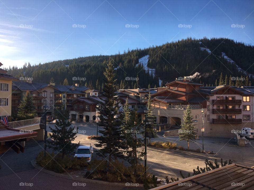 Summer at the resort 