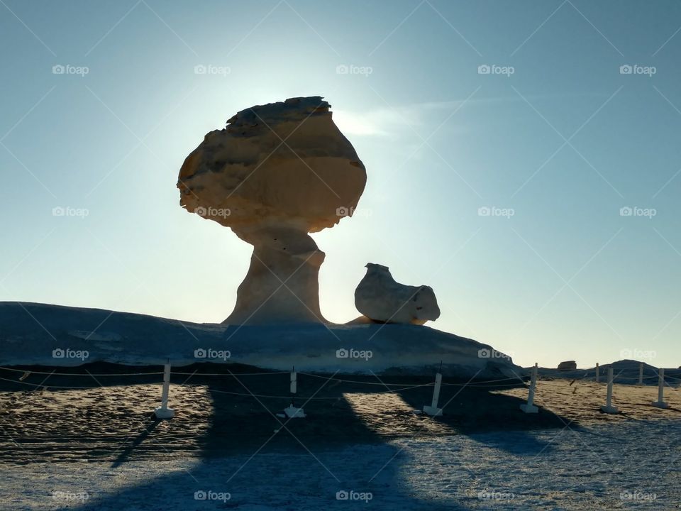 Mashrom and Chicken Rock - White Desert - Egypt