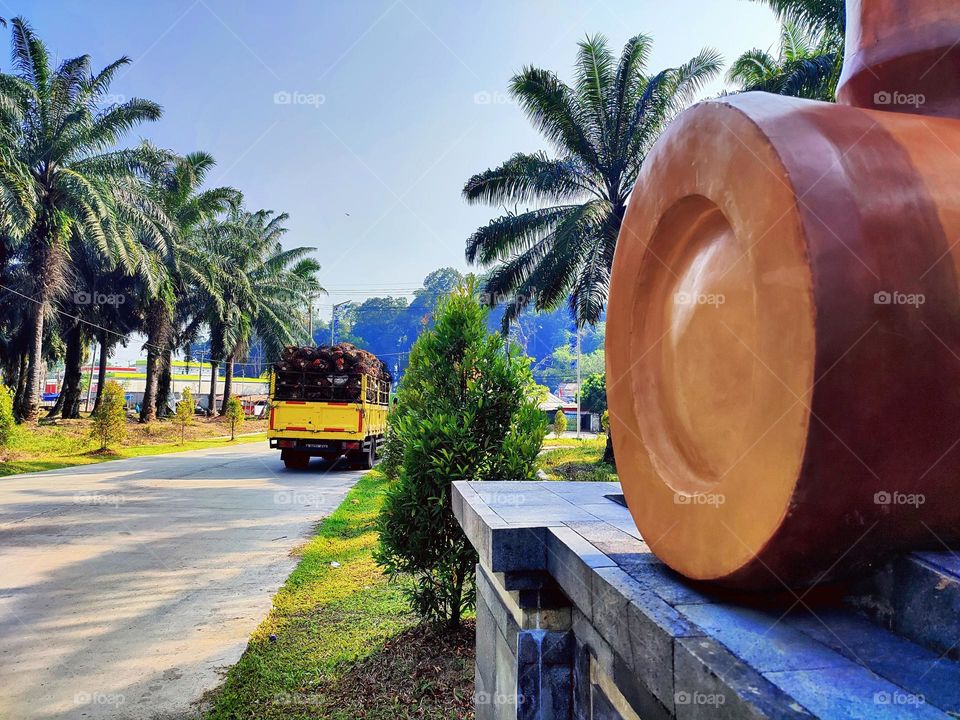 Highway in an oil palm plantation