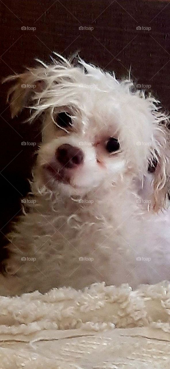 it was bath day 🥺