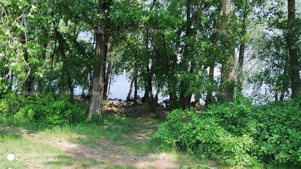on the bank of the Dnieper