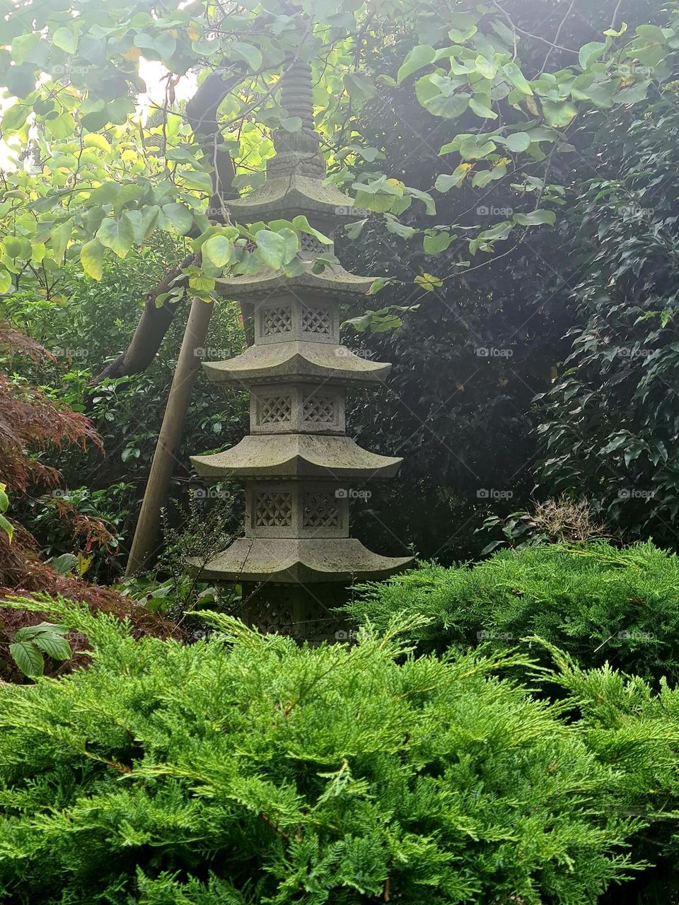 in the Japanese garden