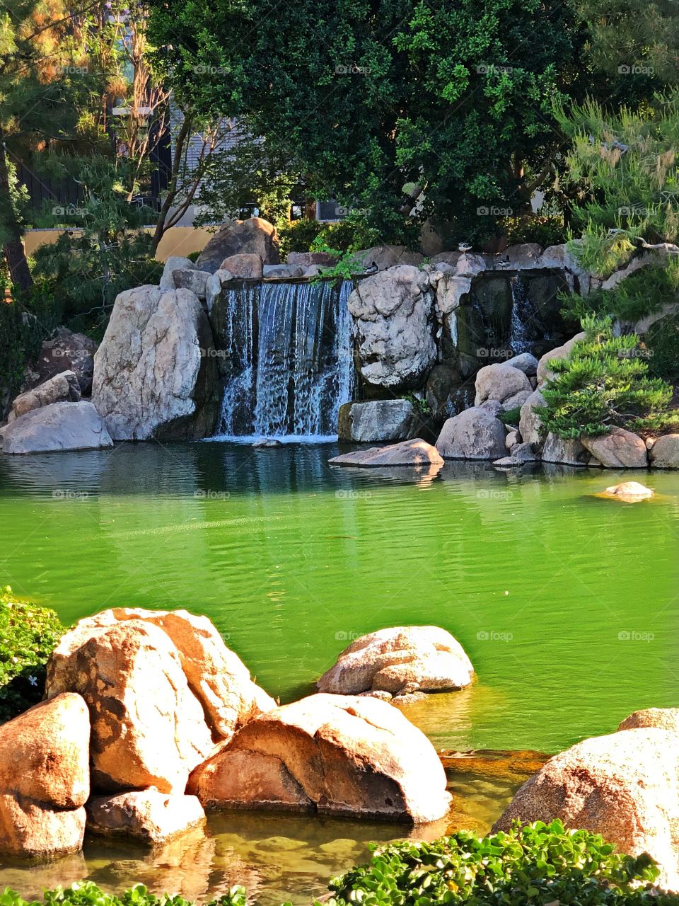 Waterfall pond