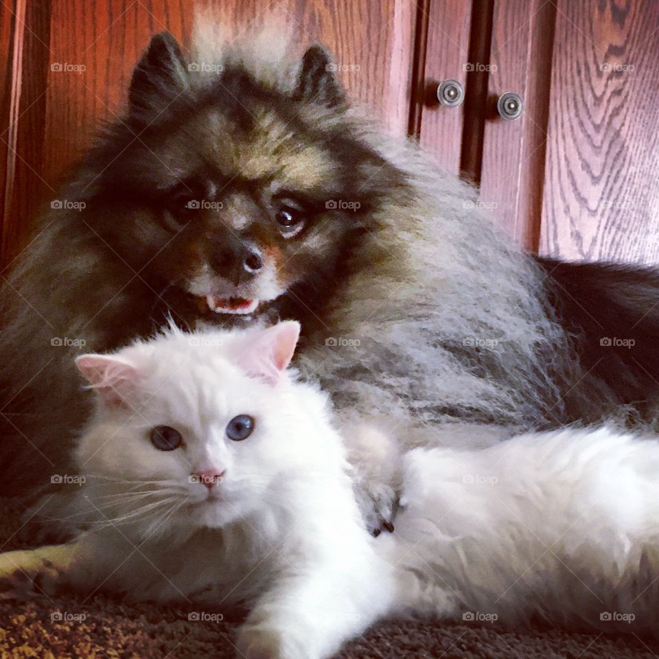 Let's stop running around 