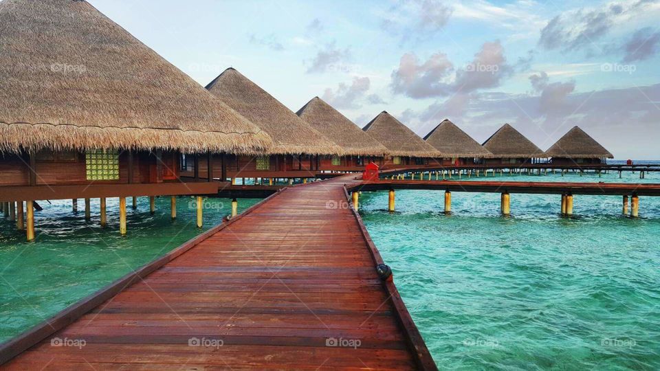 maldives