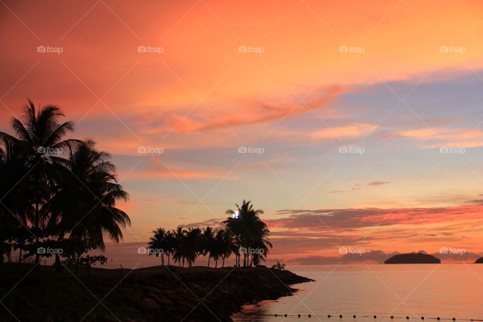 Silhouette of palm trees on beach at sunset
