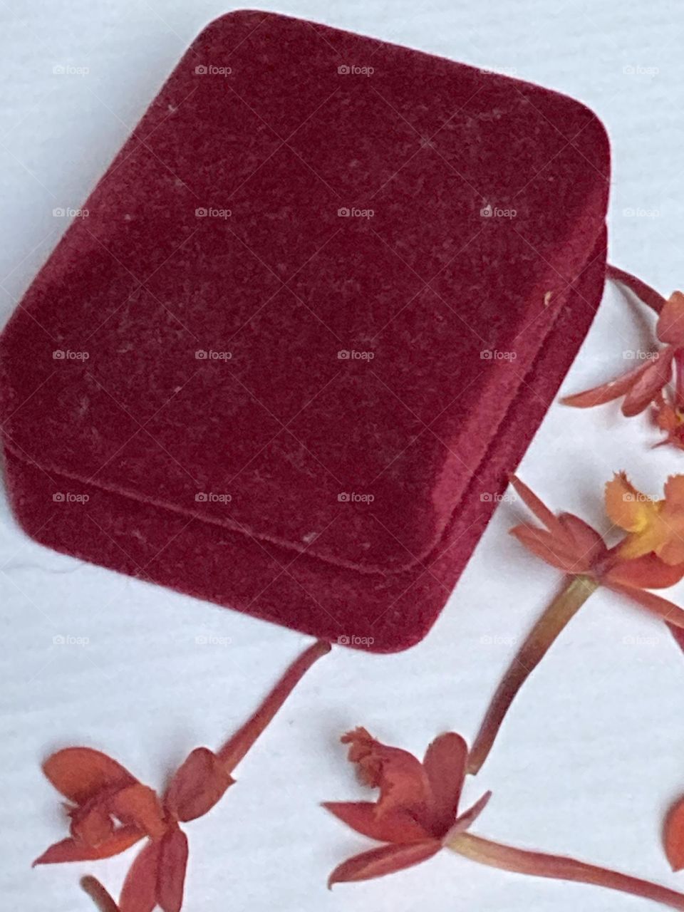 Caixa vermelha com presente flores miúdas salpicadas ao redor.