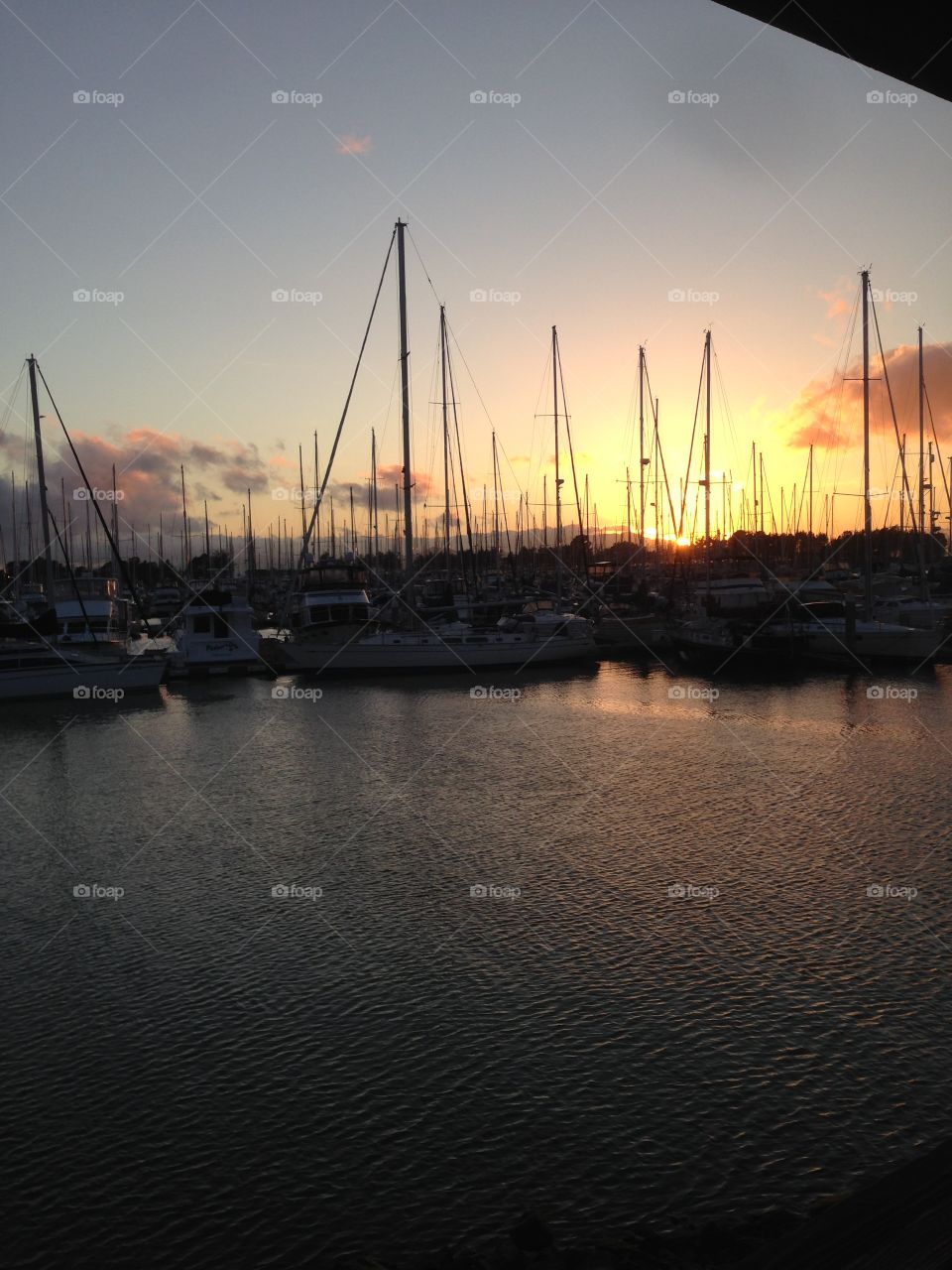 Sailboats in the harbor at sunset 