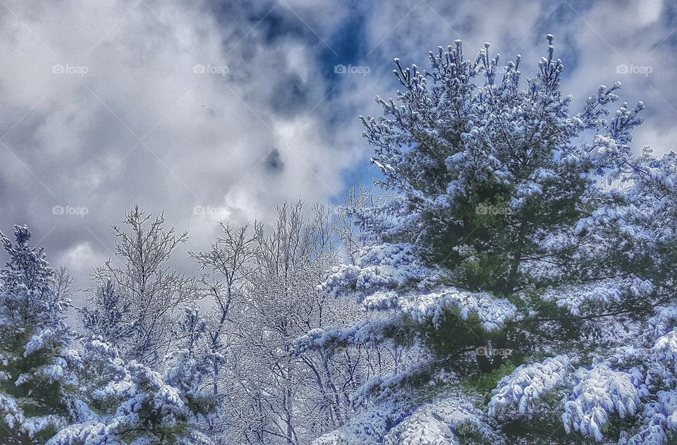 A Snowy Pennsylvania Day