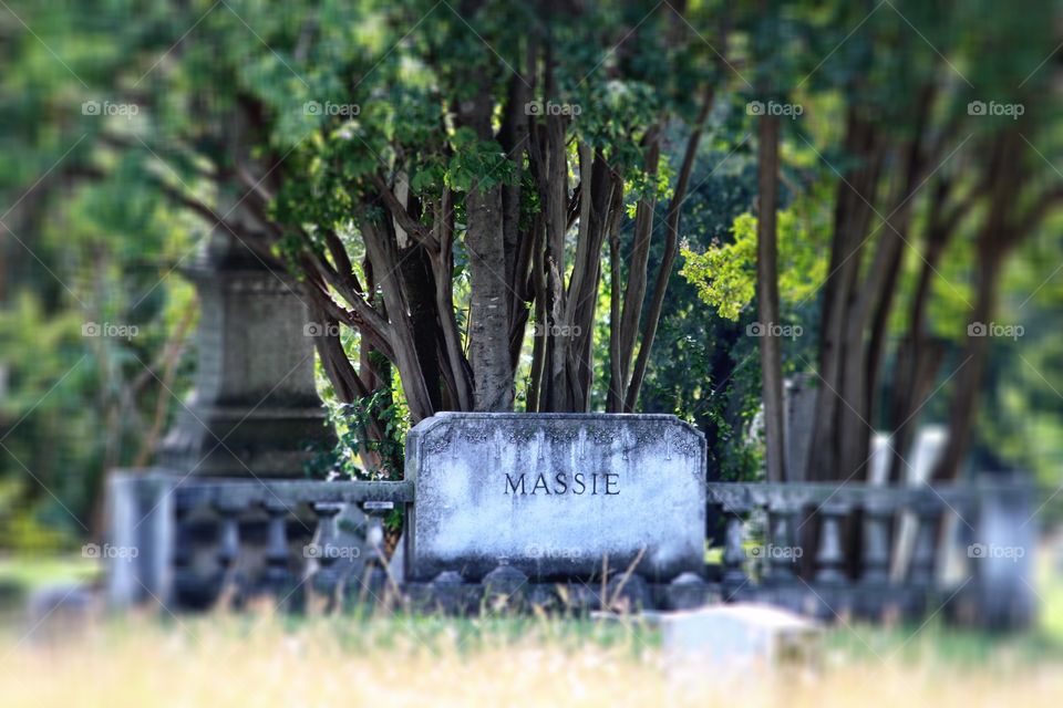 Eerie Cemetery  