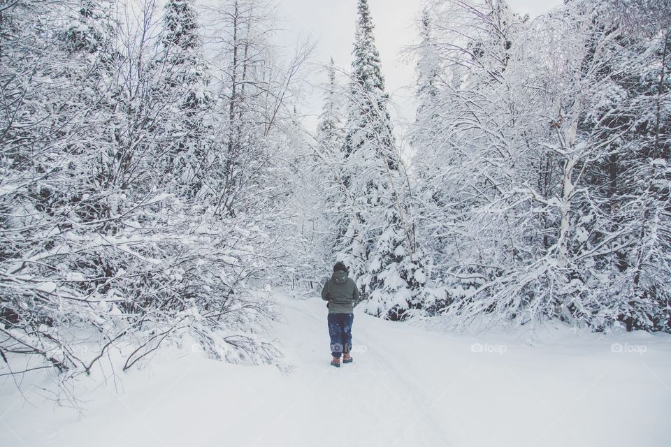 A young man hiking through a massive snowy forest, exploring