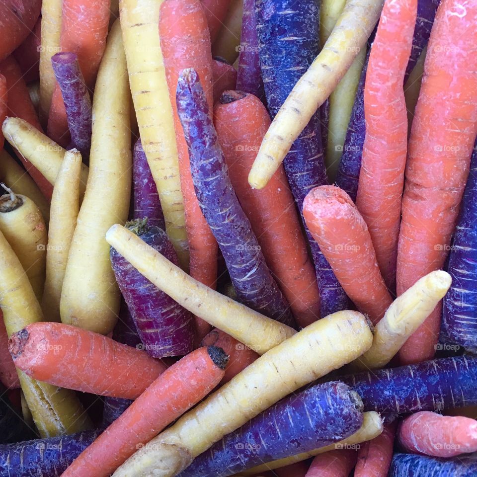 Carrots multicolor