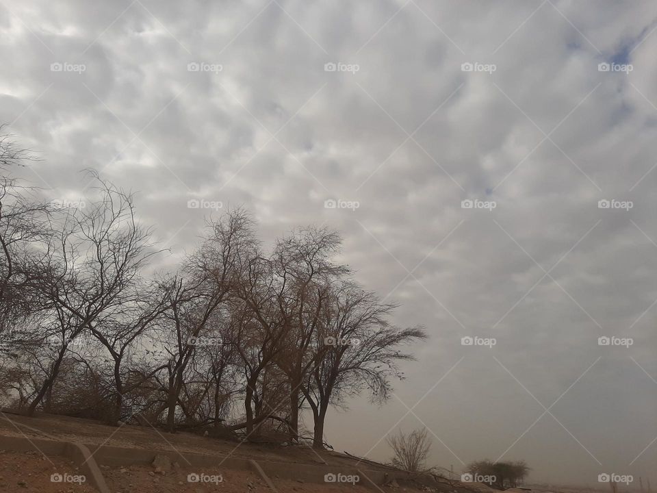 Please make me happy, I am poor, I need your help with support