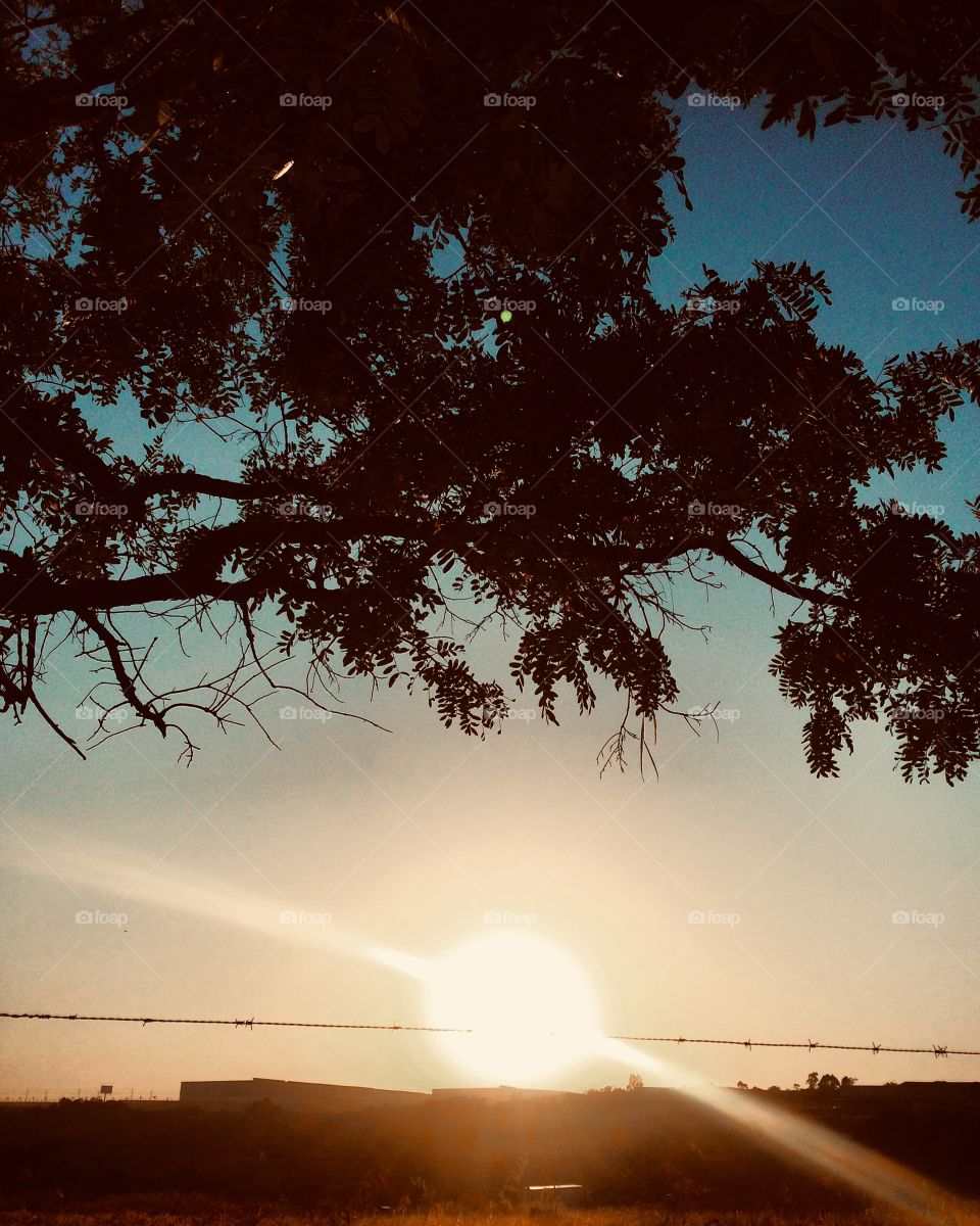 🌅 E esse foi o #amanhecer da 3a feira!
Grande dia a todos nós!
🍃
#sol #sun #sky #céu #photo #nature #morning #alvorada #natureza #horizonte #fotografia #pictureoftheday #paisagem #inspiração #mobgraphy #mobgrafia #AmoJundiaí