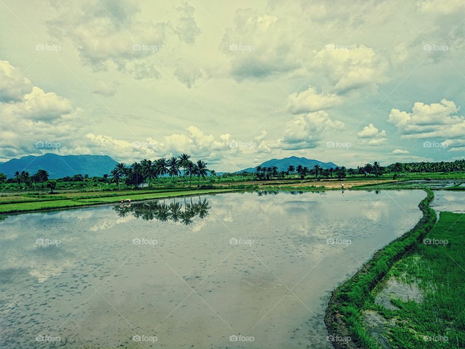 Agriculture - Farming land - irrigation water - cloudy sky - reflection of nature in water