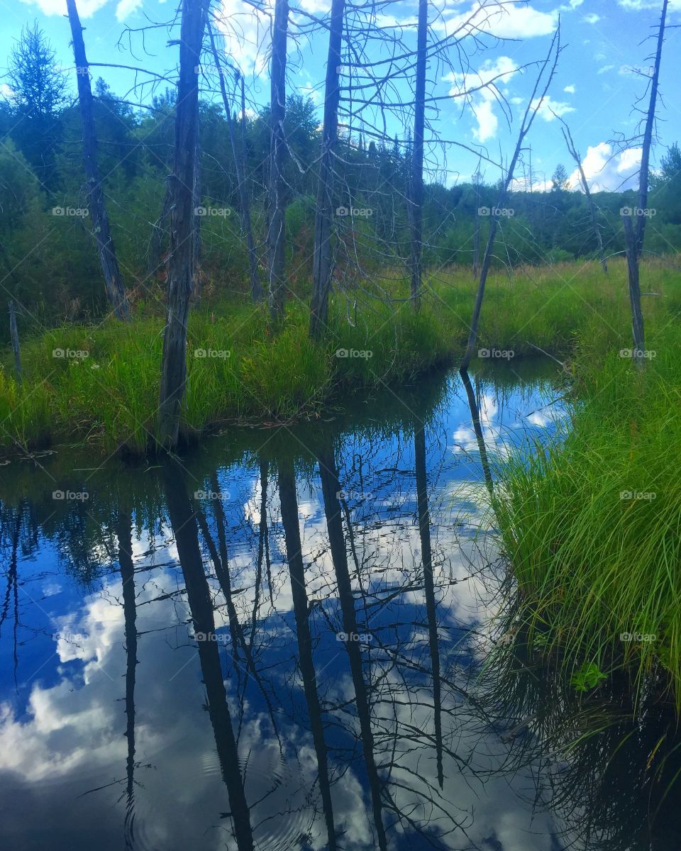 Reflection, Water, Lake, Landscape, Nature