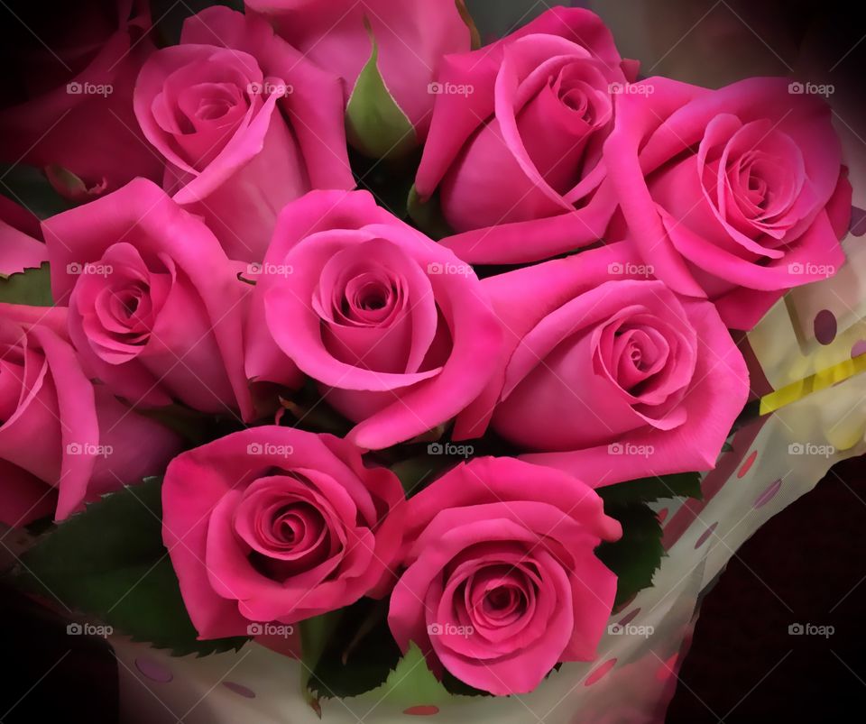 Pink roses
