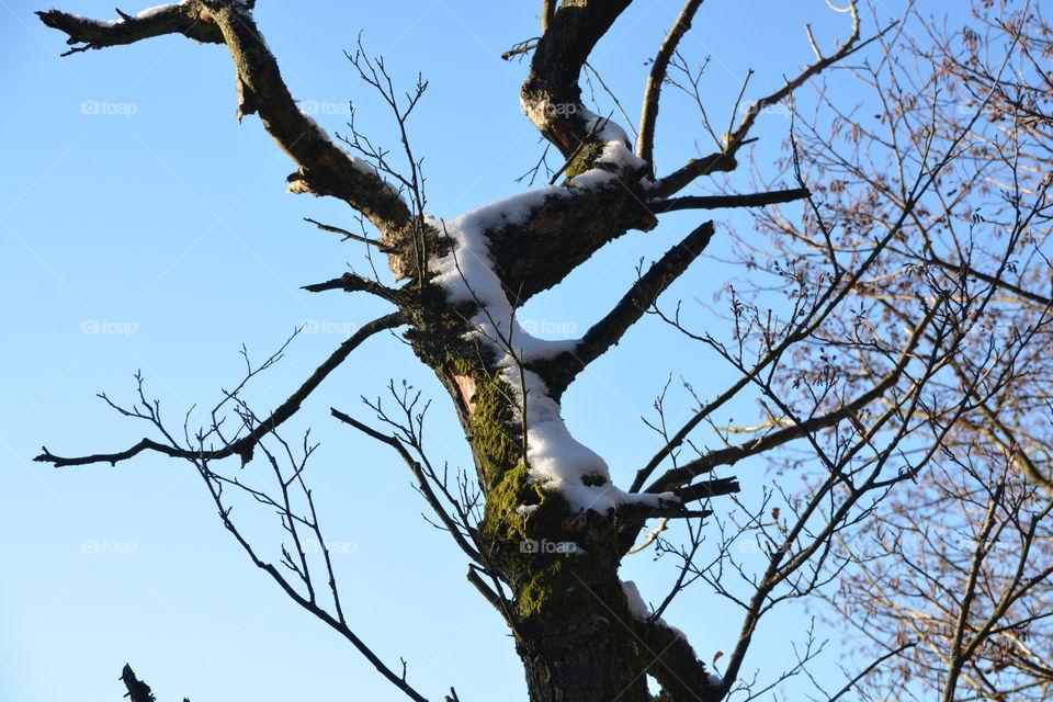 Winter in Skåne, Sweden