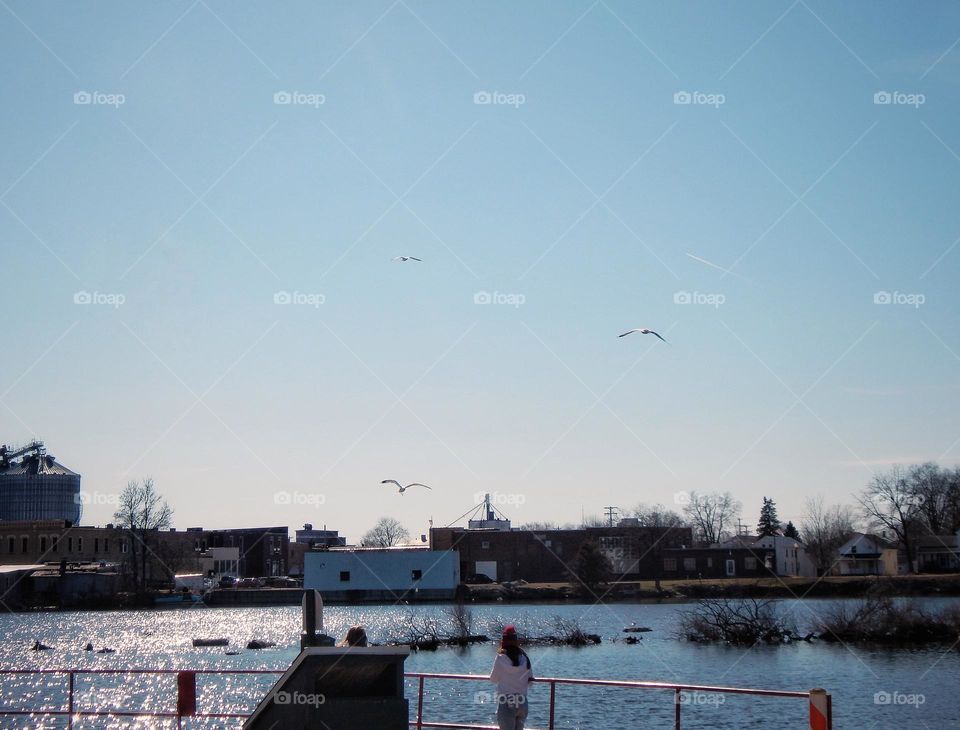 Woman standing on path behind fence overlooking a river on a clear evening with a blue sky in Michigan as several seagulls fly overhead. The other side of the river shows several buildings 