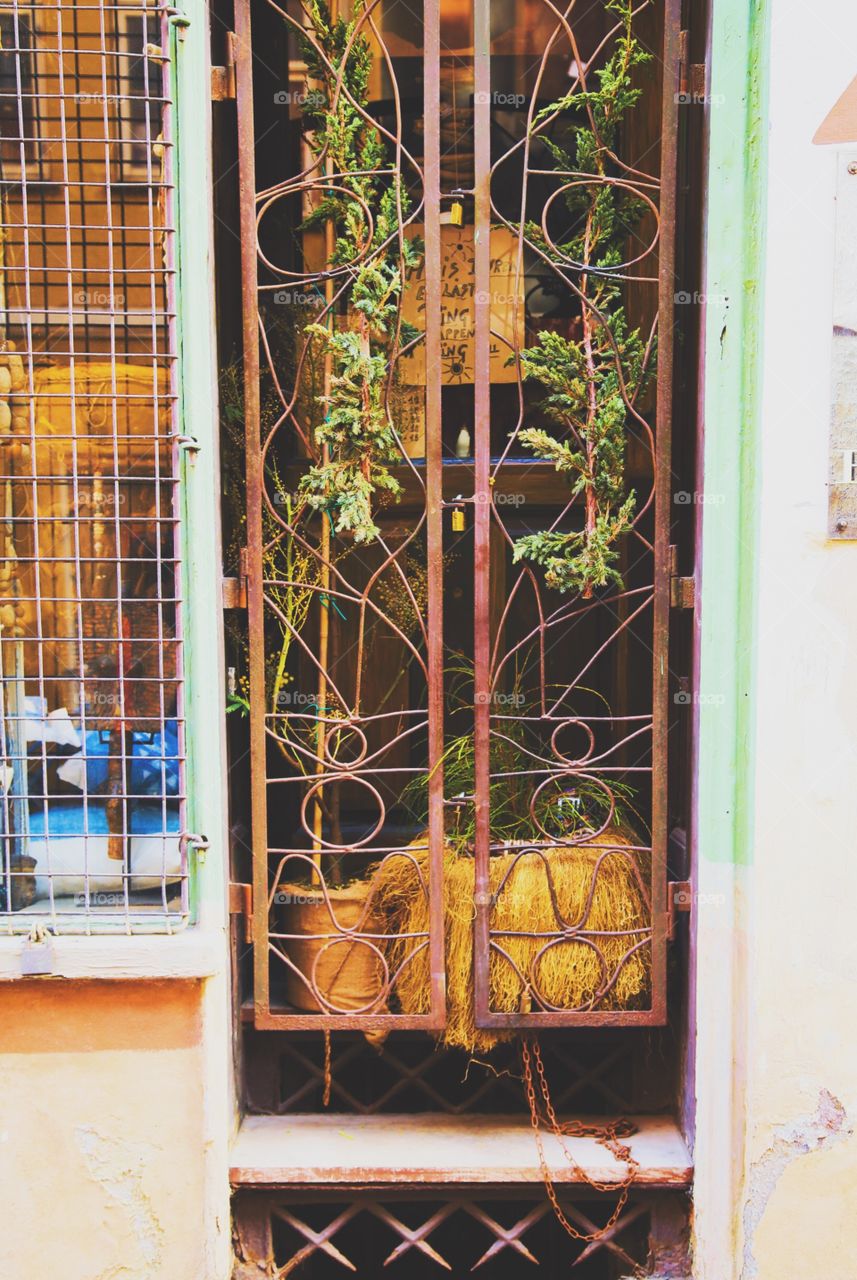 Abandoned overgrown door 