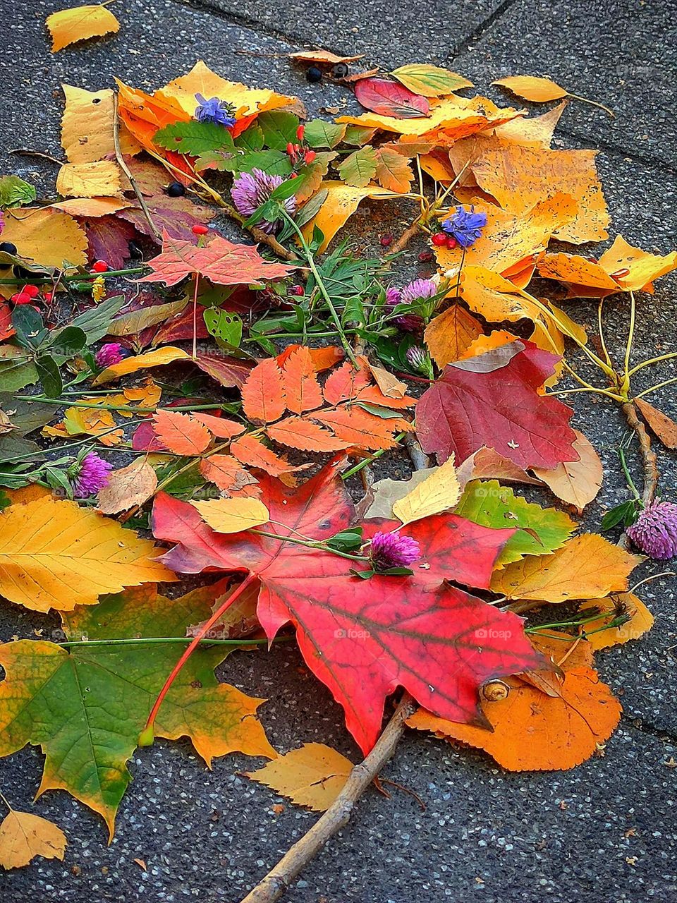 Autumn chaos on the asphalt made of autumn leaves