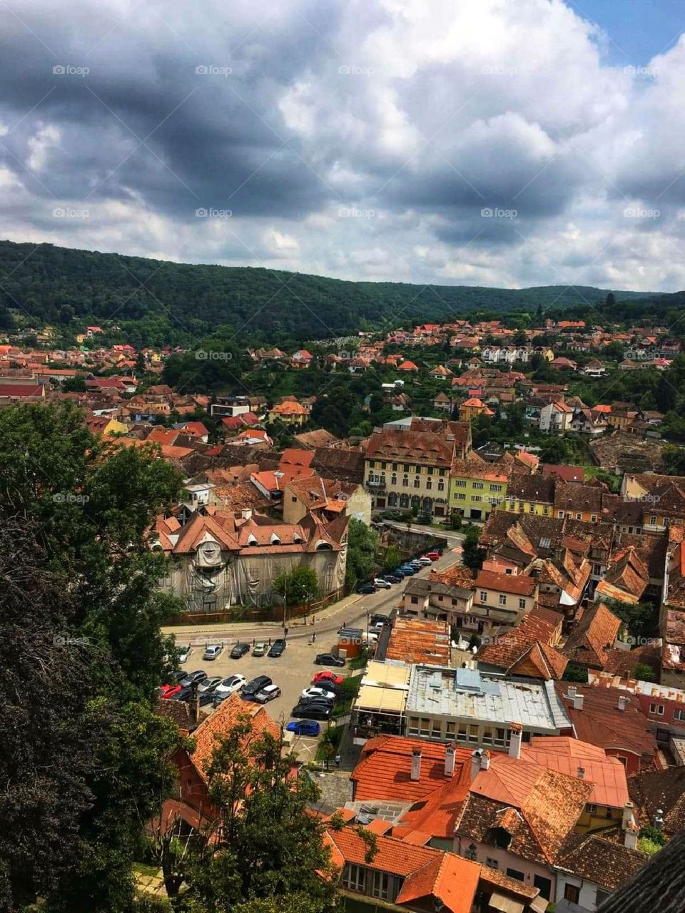 Town landscape