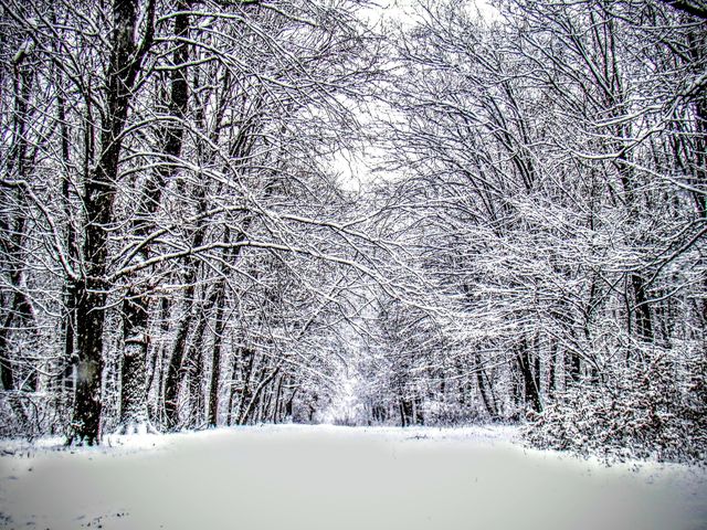 Winter