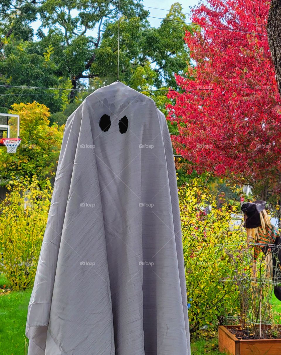 Boo The Ghost Trick or Treat/Happy Halloween