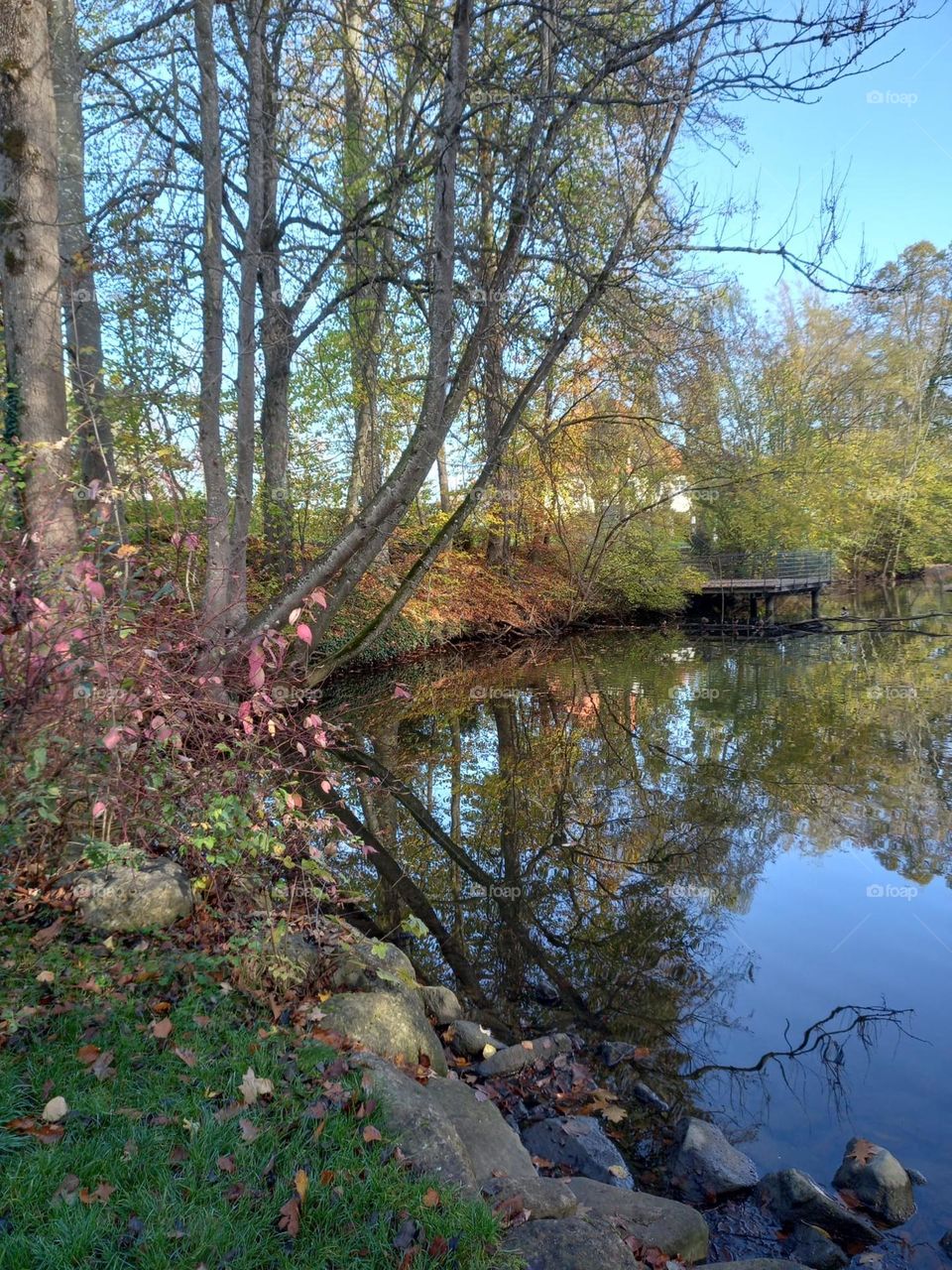 Reflections in an Autumn Lake