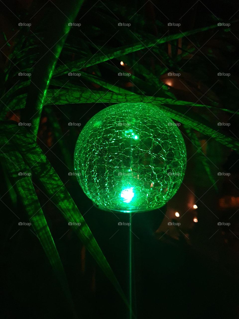 green glowing solar lamp made of glass illuminates a small palm tree in the night