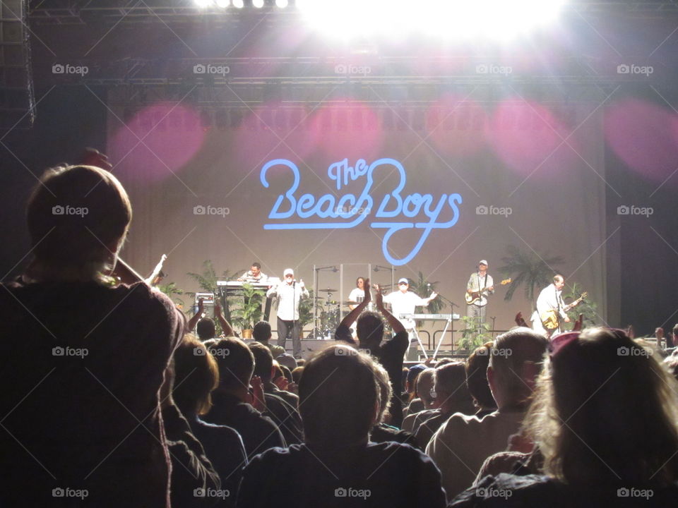 Beach Boys tour. The Beach Boys reunion tour. February, 2015