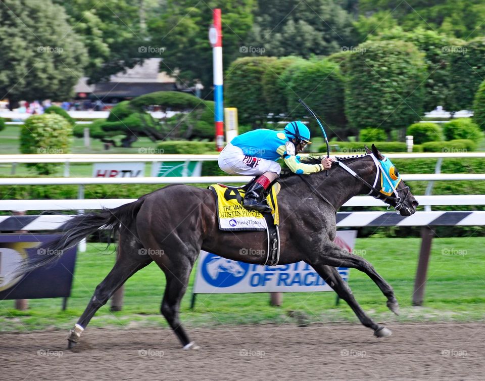 Justin Phillip- Vanderbilt . Muscular dark brown colt, Justin Phillip wins the Vanderbilt stakes with jockey John Velasquez
Zazzle.com/Fleetphoto