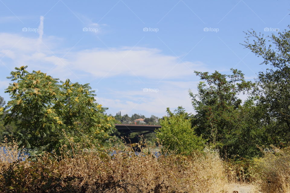 Endless Summer Trail View