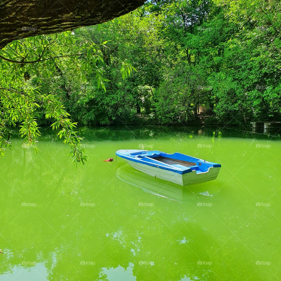 Green landscape