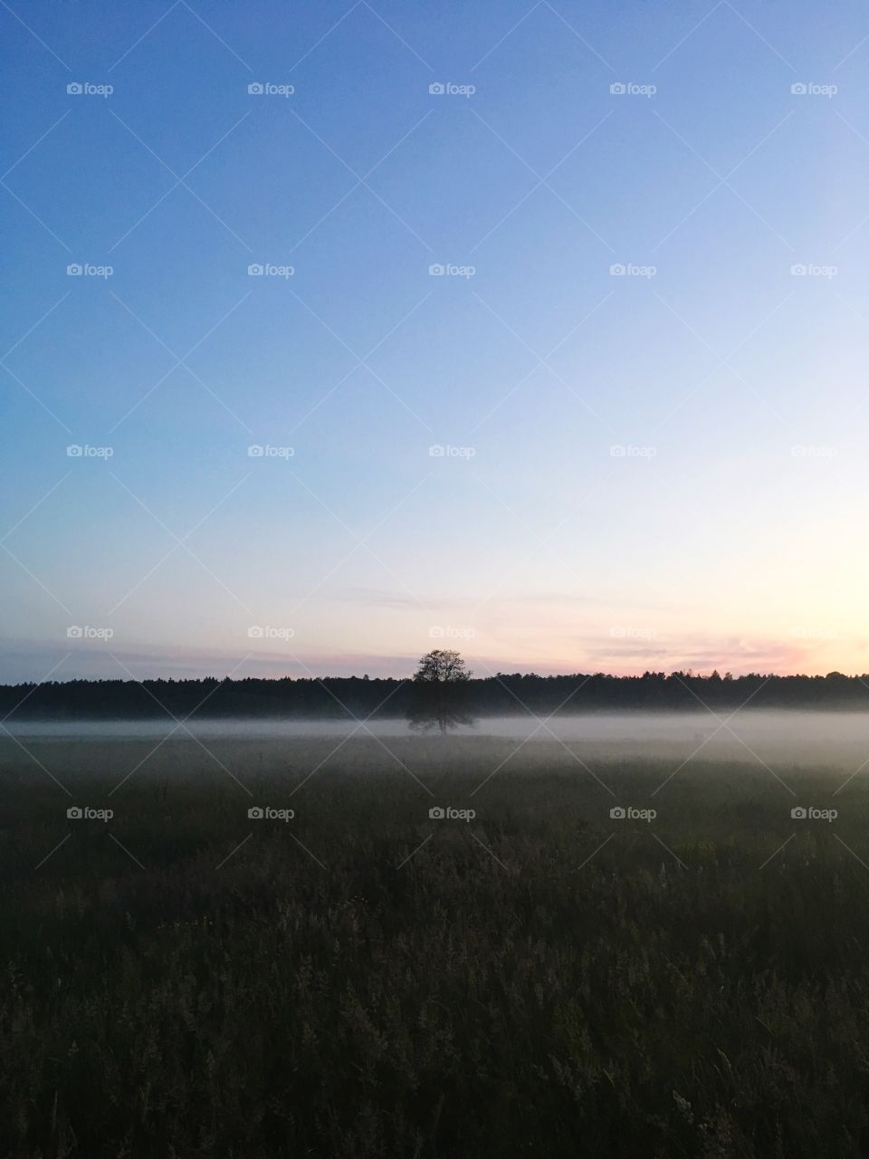Foggy sunset in Dworzysk (Podlasie)