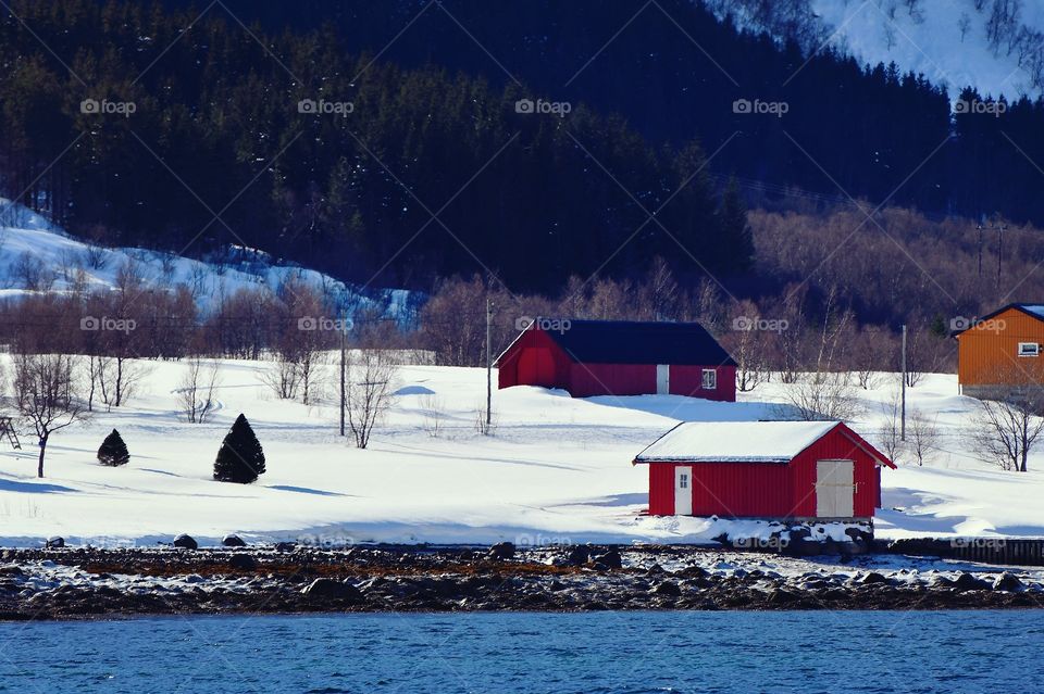 Colorful winter cabins