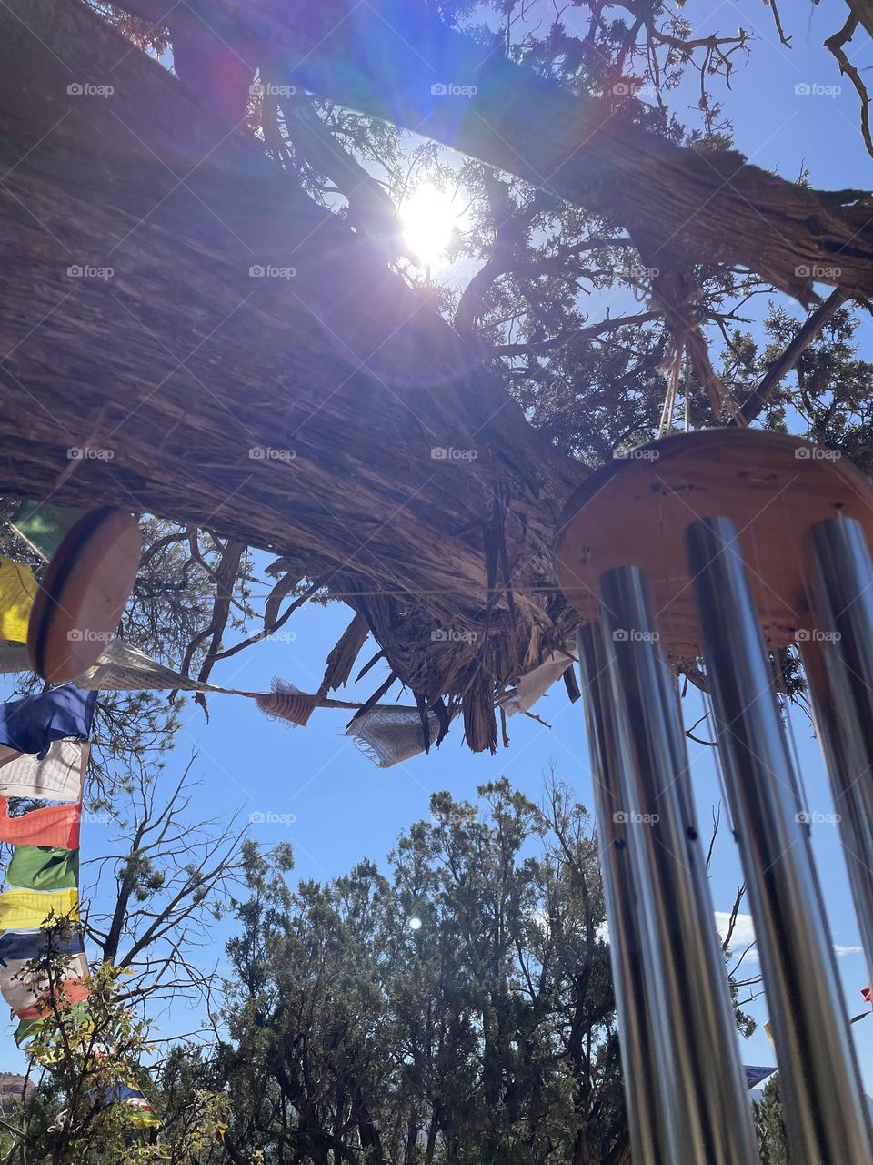 Beautiful prisma colors