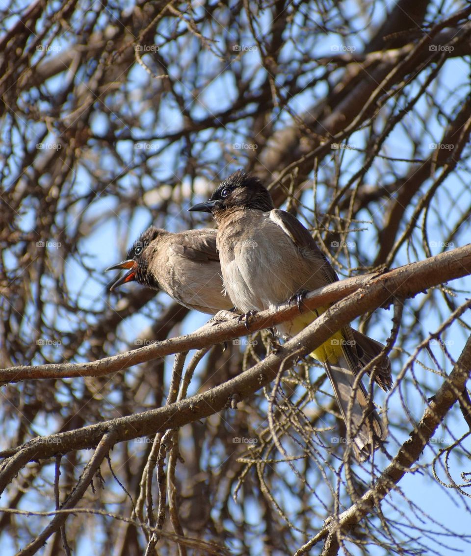 Hello there! Can you hear me?