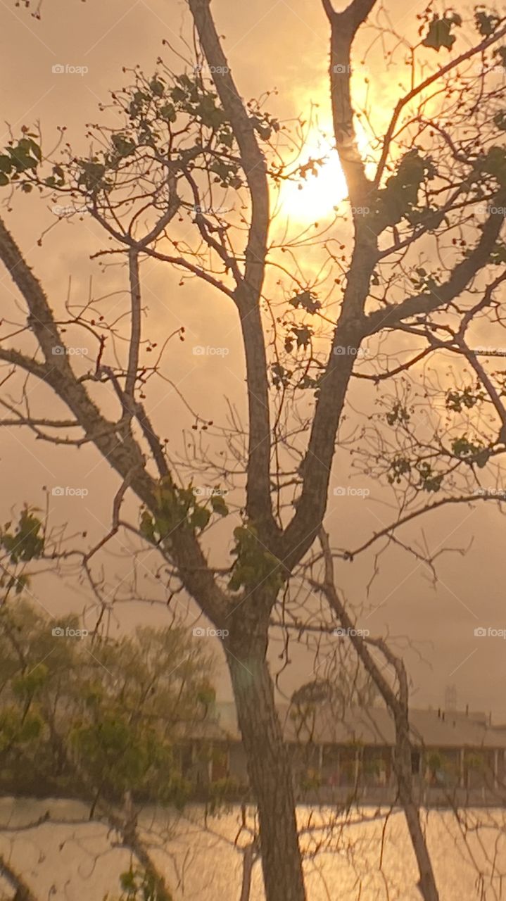 Spring showers, spring flowers, spring leaves, spring clouds, we sometimes get caught in stale conditions to let Mother Nature catch up to the time. 