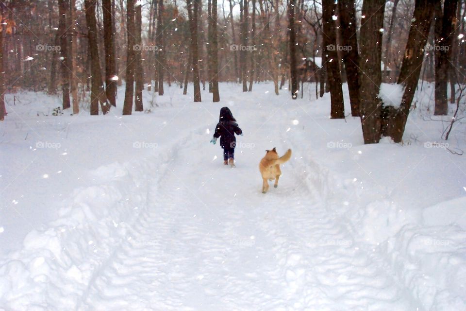 A young boy with his back to the camera is seen running in the snow with a golden Labrador Retriever