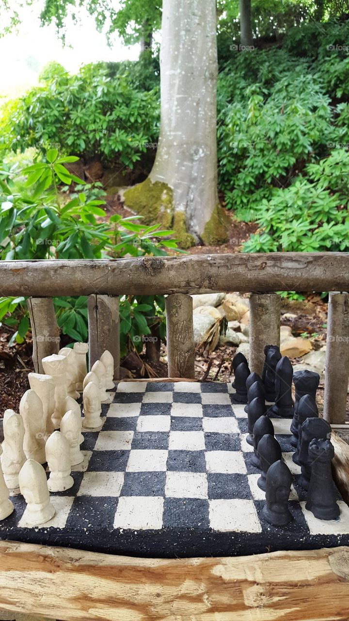 Chess in the woods