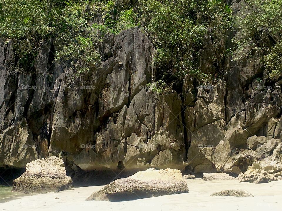 Trees and rocky cliffs on a beach shore 