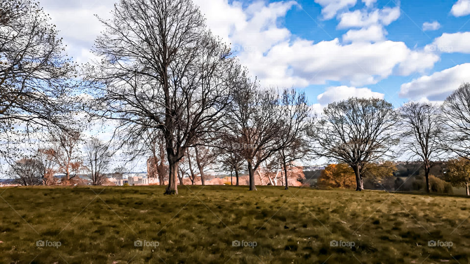 I'm fascinated by beautiful scenery and what we have here on this Earth.