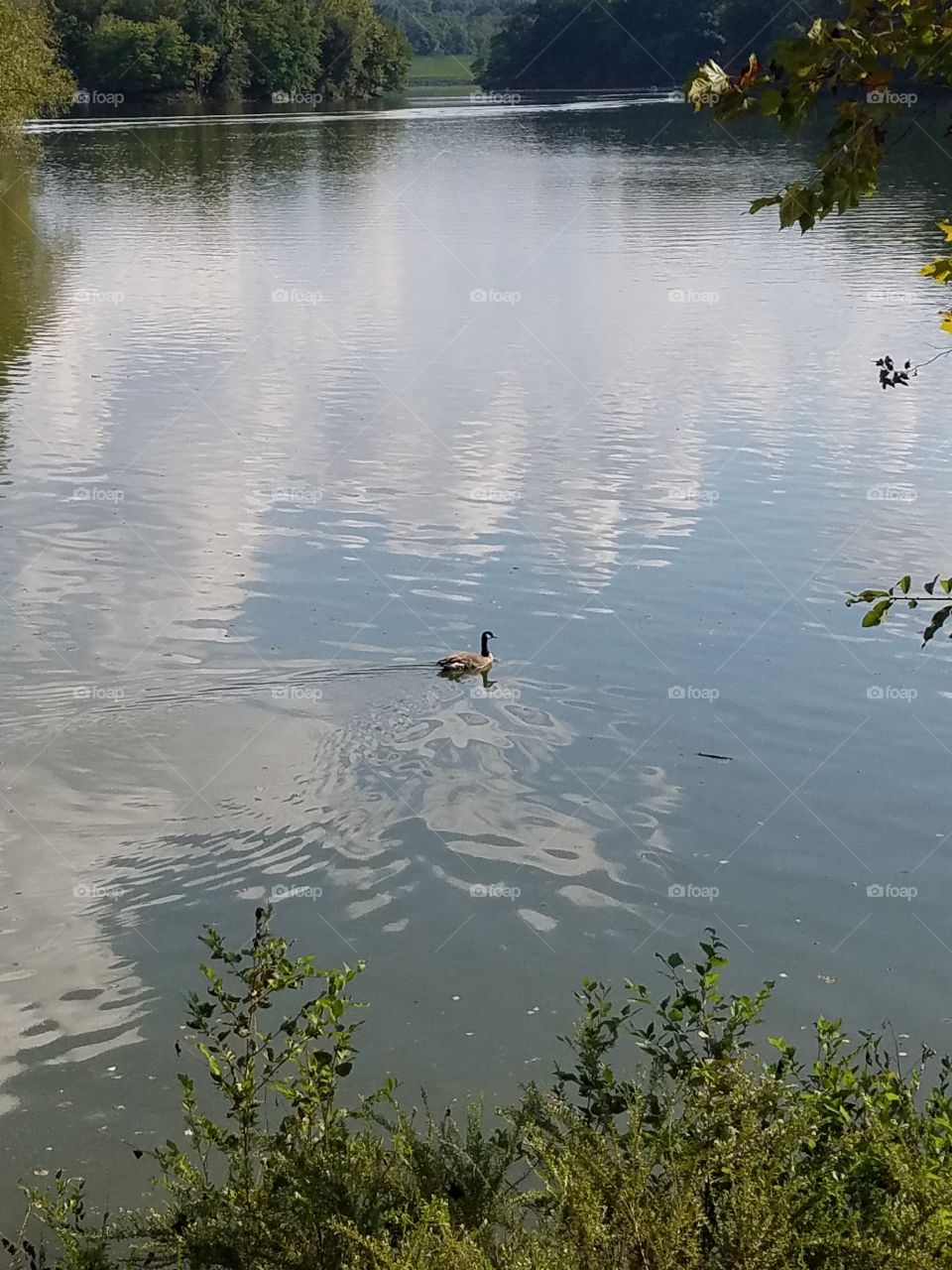 Water, Lake, River, Reflection, Pool