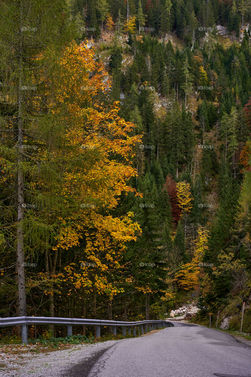 Winding road and autumn colors in the mountains 