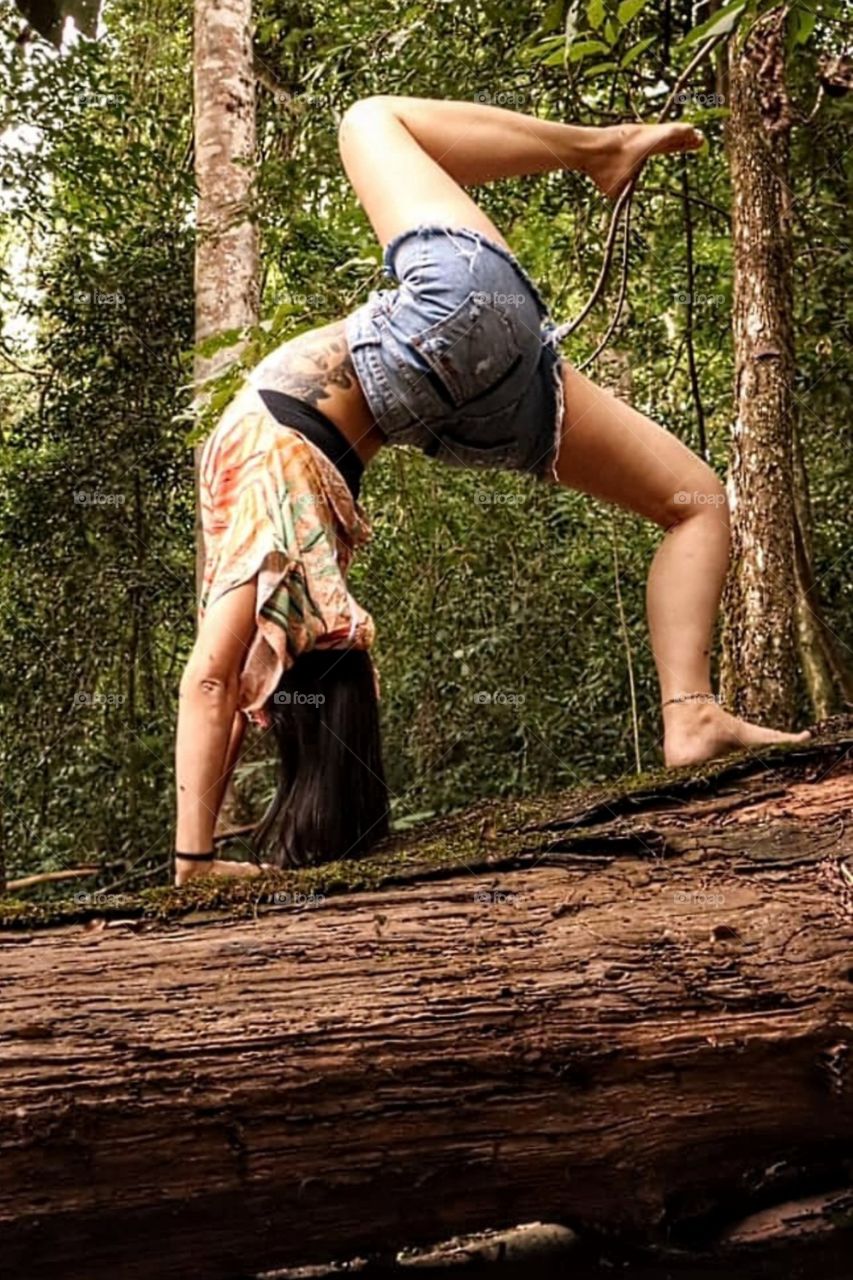 Uma ponte na natureza