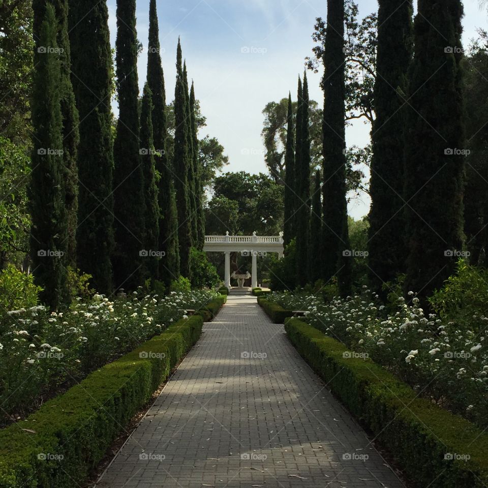 Montalvo Gardens - Saratoga CA