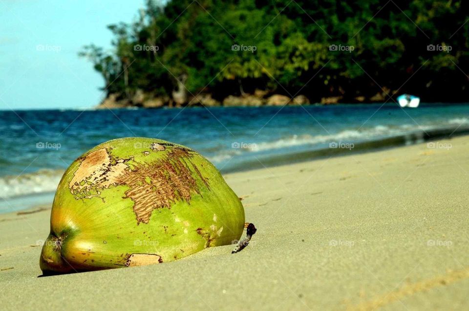 I've got a lovely bunch of coconuts